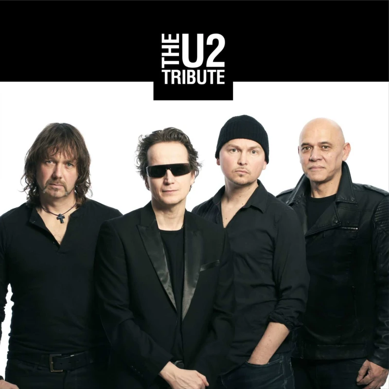 The U2 Tribute boeken
